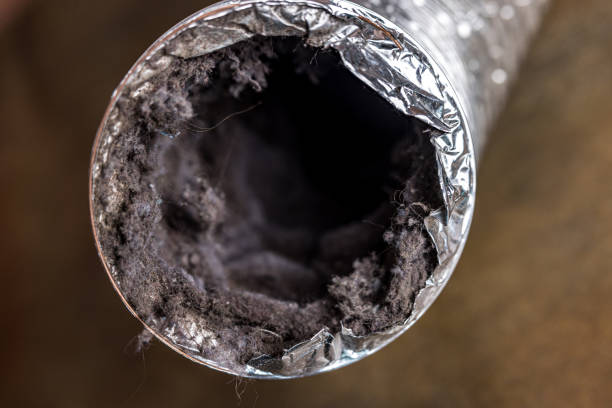 Best Emergency Air Duct Cleaning  in Chieand, FL
